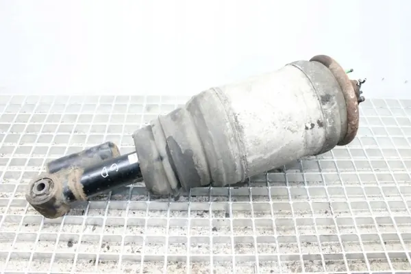 Bakre höger luftfjädring OEM 22260147 för Range Rover Sport image 2