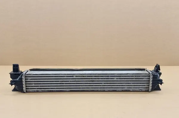 Intercooler per Movano Ducato Jumper Boxer 2014-2025 image 3