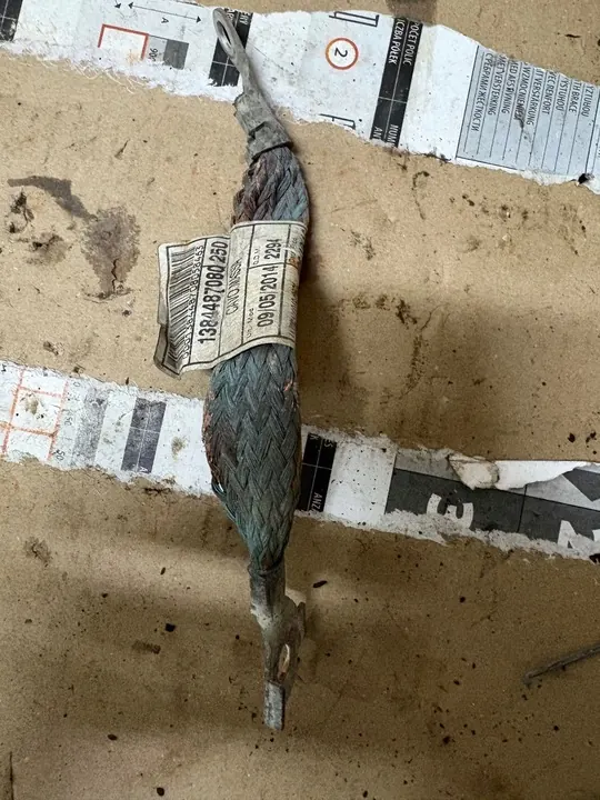 Terminal Negativo Ducato 06- 1384487080 image 2