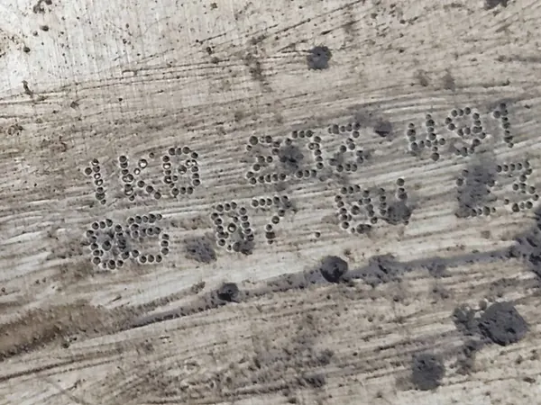 Refroidisseur de carburant Avant Audi A3 S3 1K0203491 image 5