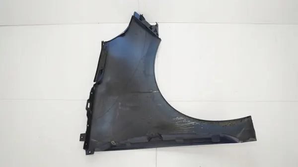 Para-lama dianteiro esquerdo OEM 360203593 para Renault Scenic III image 7