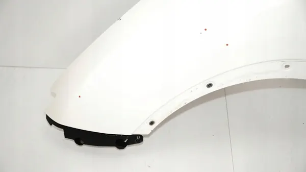 Para-lama dianteiro esquerdo OEM 375484928 Nissan Juke image 5