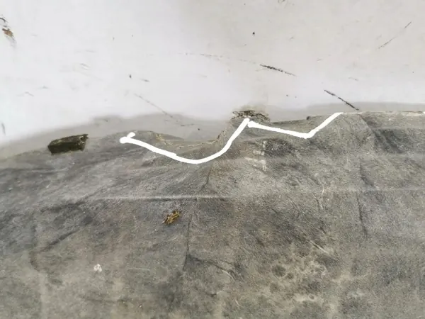 Mazda CX-7 2011 Tampa do para-choque dianteiro / Absorvedor image 4