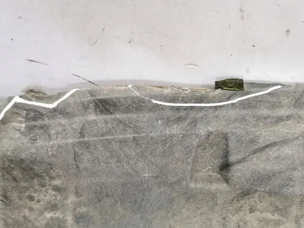 Mazda CX-7 2011 Tampa do para-choque dianteiro / Absorvedor image 7