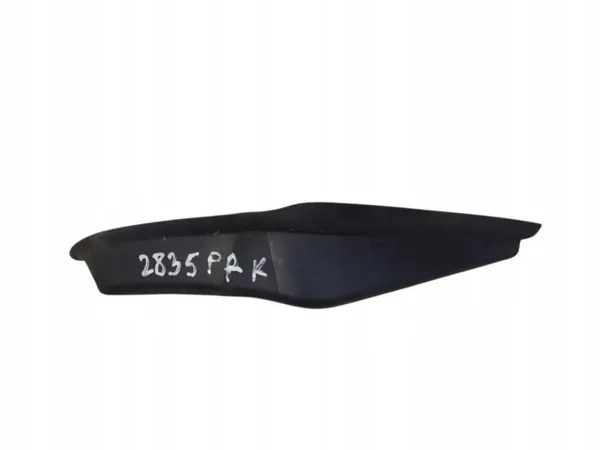 Protection pare-brise OEM 668630005R pour Renault Laguna III image 2