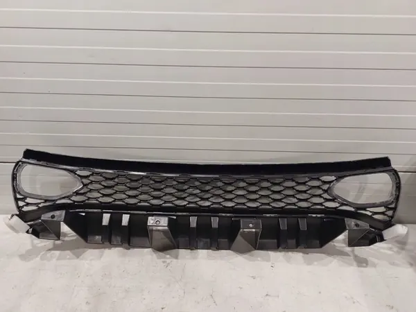 Dodge Charger 2020 Front Grill / Radiator Cover image 3