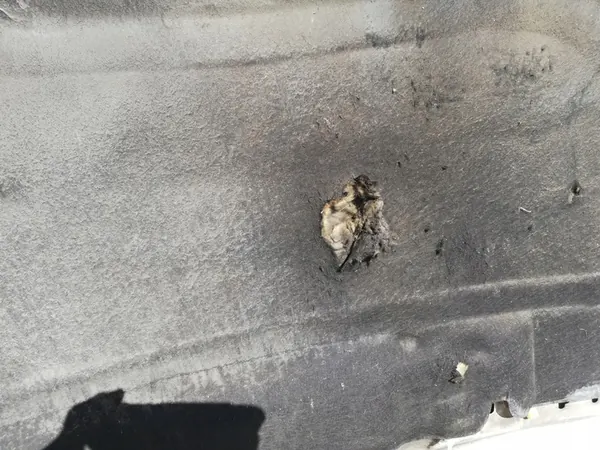 Motorhuv Peugeot 407 image 3