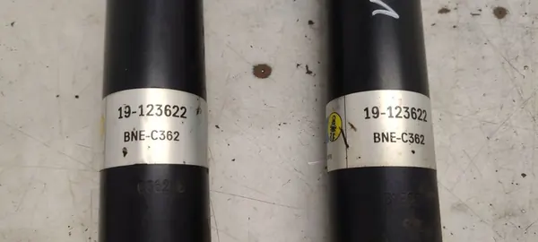 Ammortizzatore Bilstein 19-123622 image 4