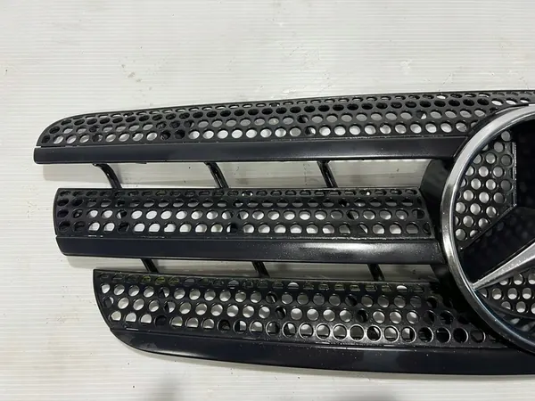 Grille Mercedes-Benz ML W163 image 2