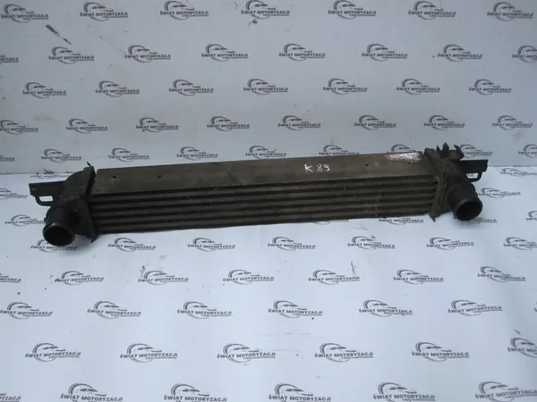Intercooler FIAT FIORINO III 51790623 image 2