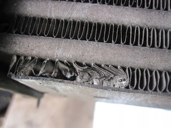 Intercooler FIAT FIORINO III 51790623 image 6