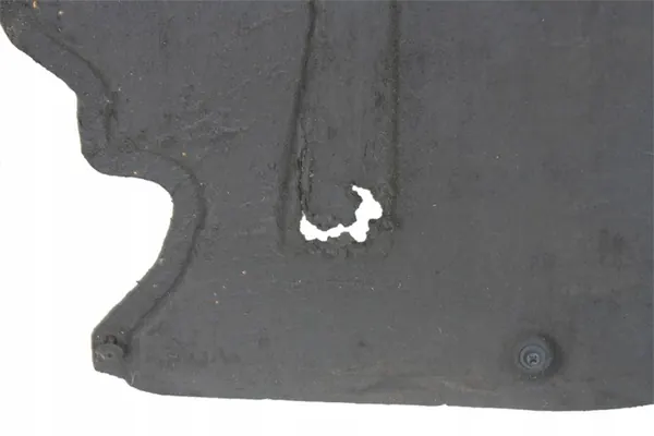 BMW E61 Motorhuv  Framsidan 7159659 image 2