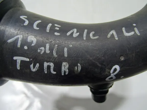 Manguera de admisión de aire 8200082448 Renault Scenic I Lift 1.9 DCI image 5