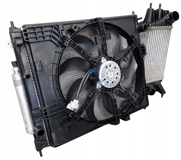 Kompletta kylare Nissan Juke 1.5dCi 2010- image 3