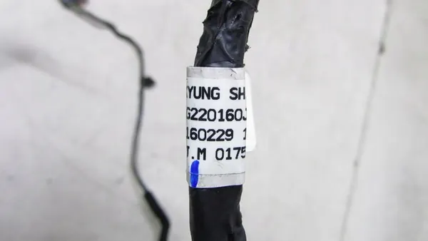 HYUNDAI SANTA FE III LIFT Fiação da Porta Traseira Esquerda 91650-2W041 image 5