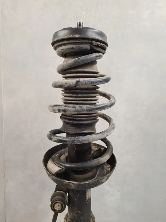 Ammortizzatore anteriore sinistro Opel Insignia A 13319745 image 7