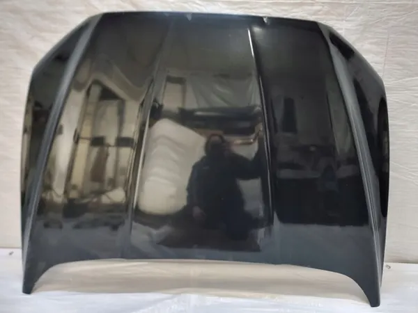 Capa do motor Ford Fusion USA image 1