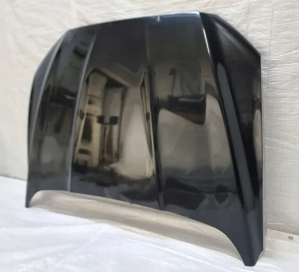 Capa do motor Ford Fusion USA image 2