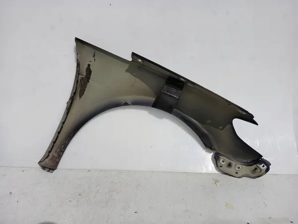 VW Passat CC Parafango Anteriore Sinistro 3C8821021 image 5