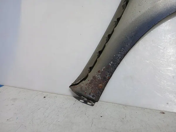 VW Passat CC Parafango Anteriore Sinistro 3C8821021 image 6