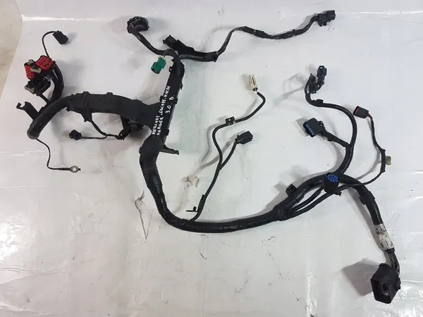 Mazda Ford Mercury Mariner 06-10 Motorbedrading 3.0 image 1