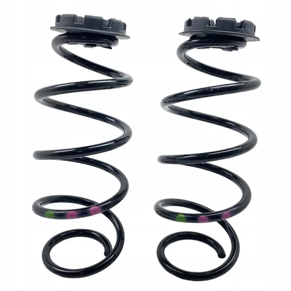 Molas traseiras Renault Clio V 540104134R image 2