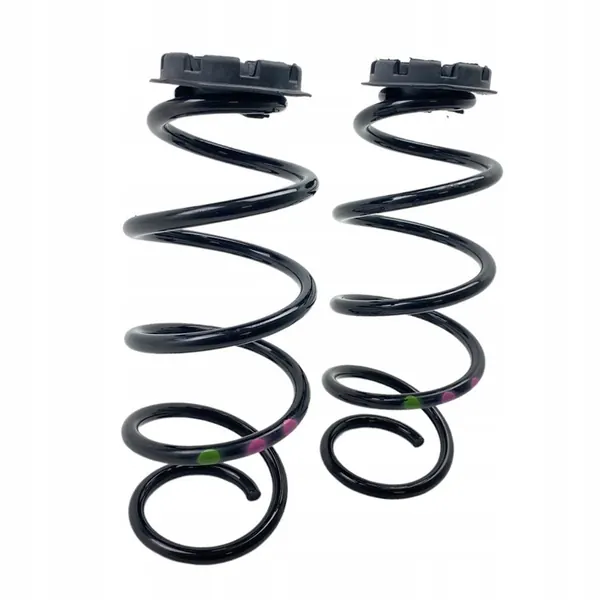 Molas traseiras Renault Clio V 540104134R image 3