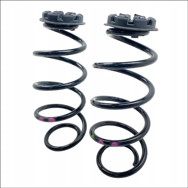 Molas traseiras Renault Clio V 540104134R image 4