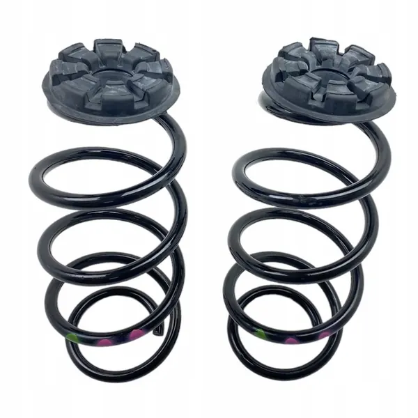 Molas traseiras Renault Clio V 540104134R image 5