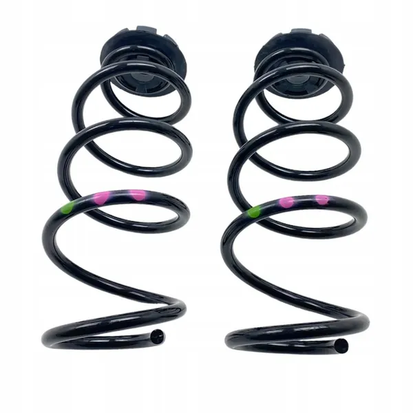 Molas traseiras Renault Clio V 540104134R image 6