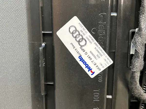 Audi Q8 e-tron Panoramadak OEM 4K4877041G image 3