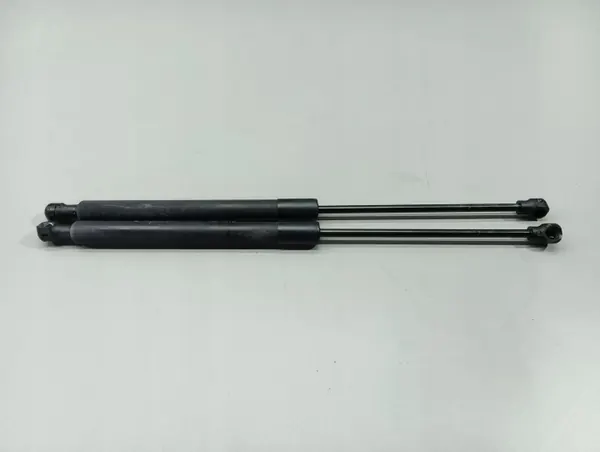 OEM 6547 076 06R Motorhuvesstöd Renault Megane IV image 2