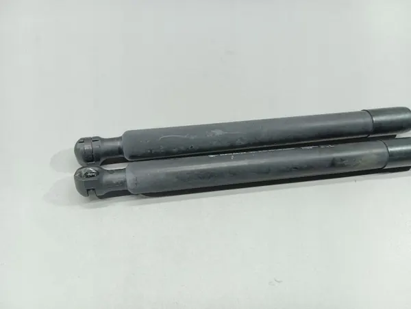 OEM 6547 076 06R Motorhuvesstöd Renault Megane IV image 3