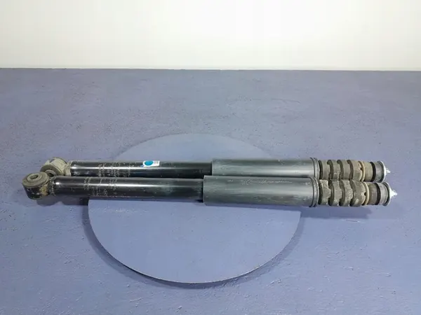 DACIA SANDERO III Ammortizzatori Posteriori Set 562102144R image 2