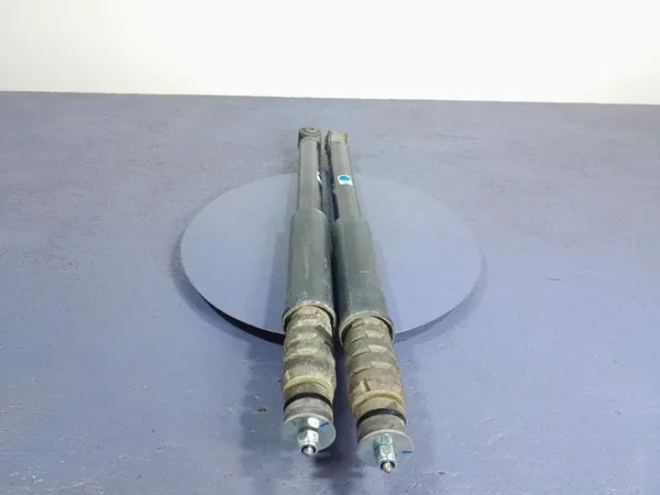 DACIA SANDERO III Ammortizzatori Posteriori Set 562102144R image 3