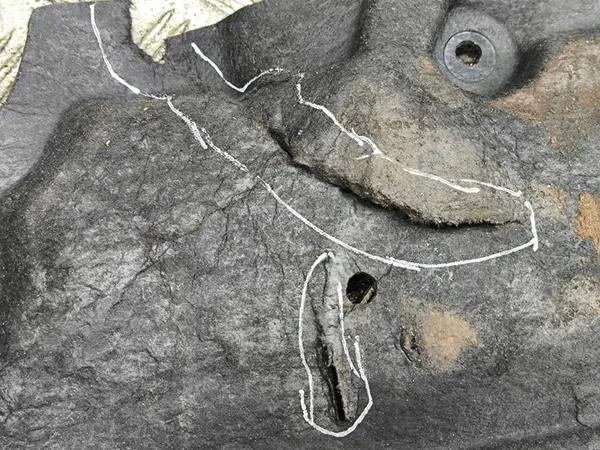 Renault Megane E-Tech 2022 Tampa do para-choque dianteiro / Absorvedor image 4