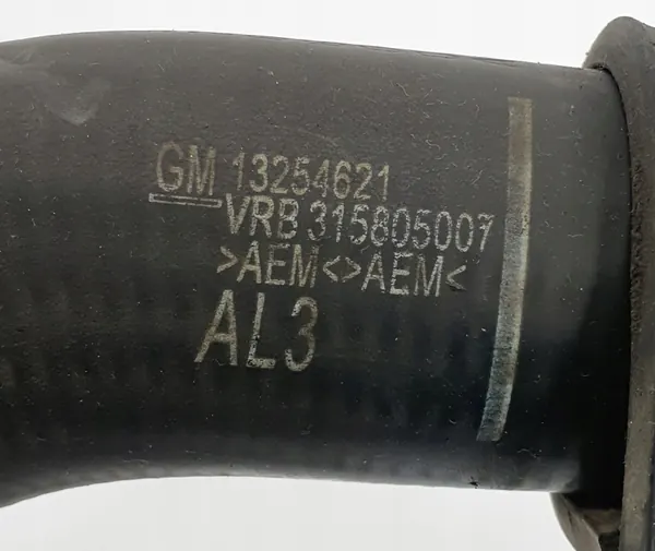 Mangueira de intercooler Opel 13254621 image 5