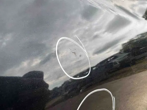 Painel traseiro direito BMW 4 COUPE (F32, F82) 7344968 image 7