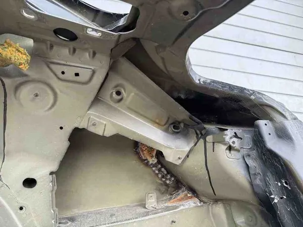 Painel traseiro direito BMW 4 COUPE (F32, F82) 7344968 image 8