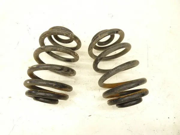 Molla di sospensione SACHS per BMW X3 E83 image 2