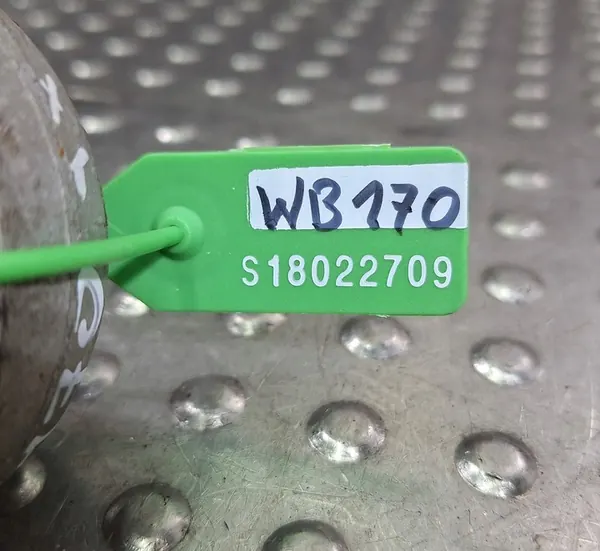 Braccio di Controllo Posteriore Sinistro BMW X5 (E70) 6770969 image 10