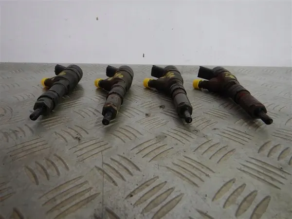 Kompletta spridare Citroen Peugeot 2.0 HDI 98-12 BOSCH image 2