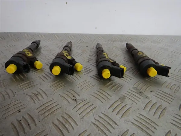 Kompletta spridare Citroen Peugeot 2.0 HDI 98-12 BOSCH image 3