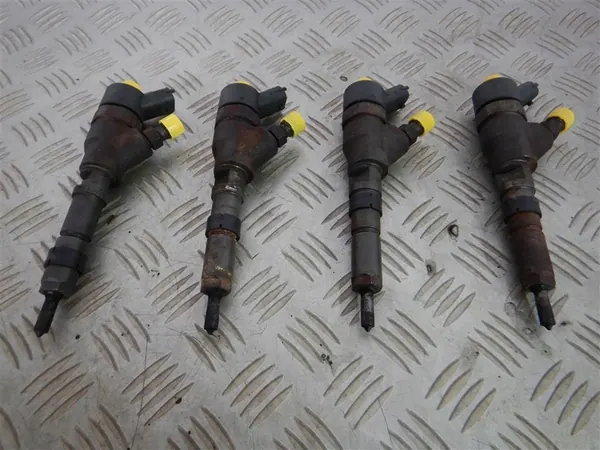 Kompletta spridare Citroen Peugeot 2.0 HDI 98-12 BOSCH image 4