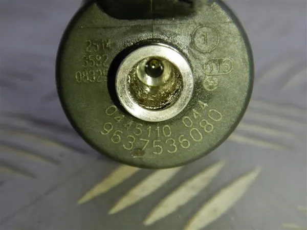 Kompletta spridare Citroen Peugeot 2.0 HDI 98-12 BOSCH image 5