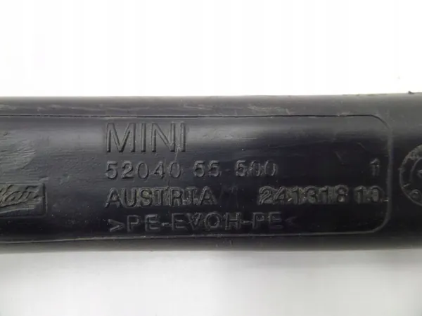 Bouchon de Remplissage Mini OEM 24131810 - Pièce d'Occasion image 6