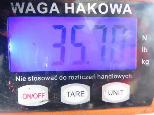 Hinterachsträger OEM BELKA TYŁ für Fiat Panda Van II HB image 9