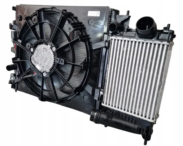 Jäähdytin-sarja OEM 214101263R Nissan Qashqai 1.3 image 3