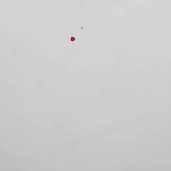 Motorhuv Citroen Berlingo Peugeot Partner II image 5