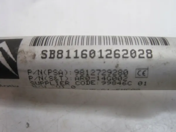 Backkamera OEM 9812729280 för Citroen DS5 image 5